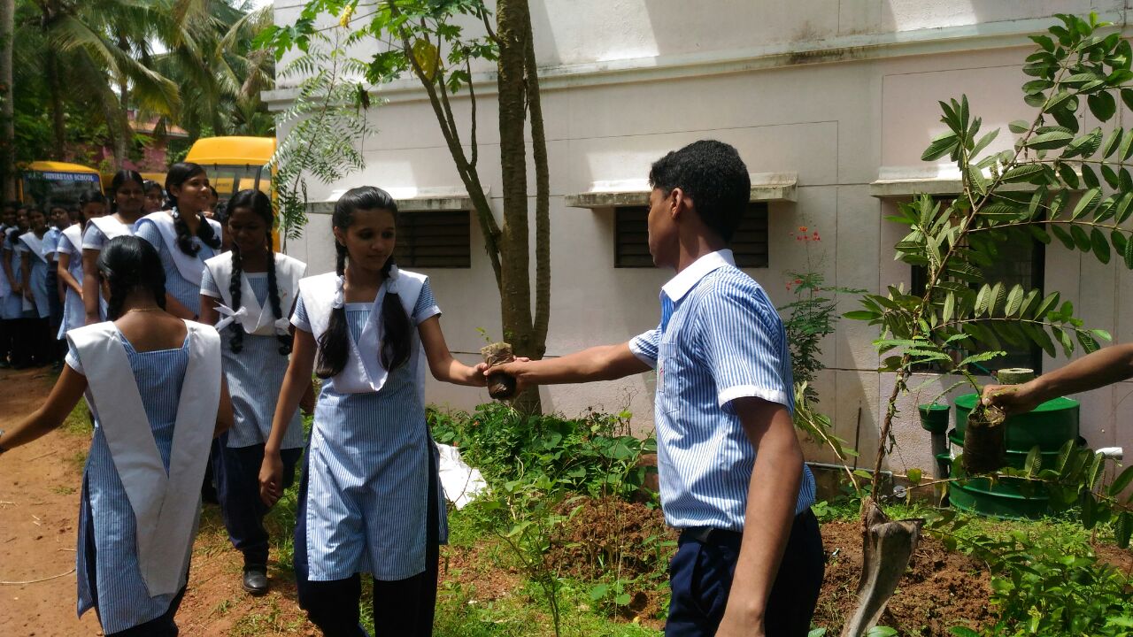 environmental day 2016