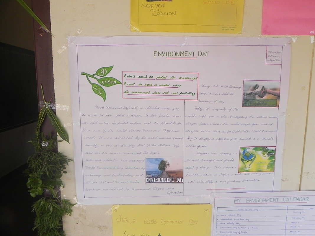environmental day 2016