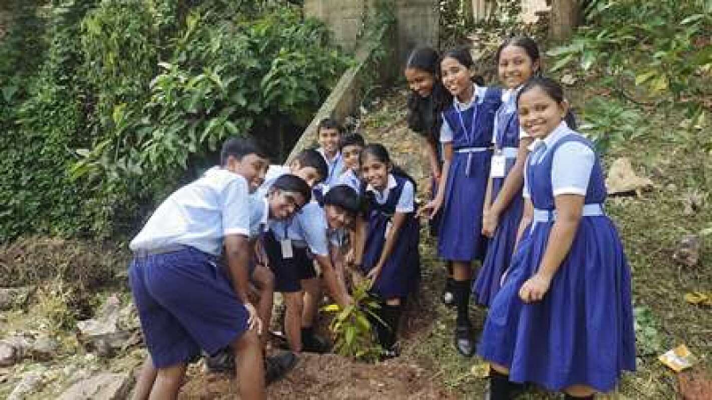 ENVIRONMENT DAY 2025