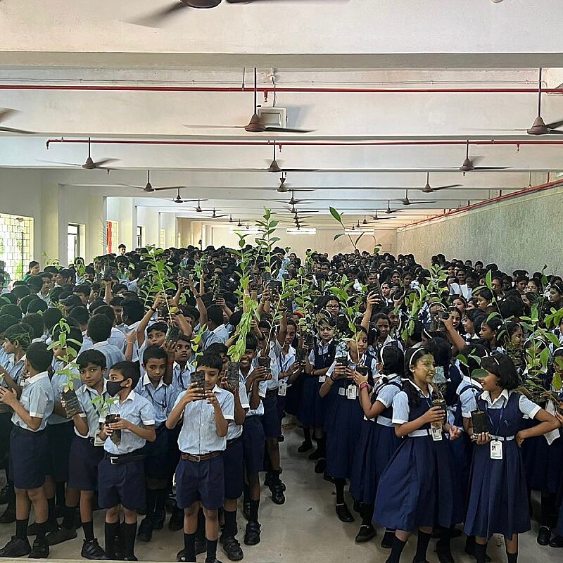 Environment day