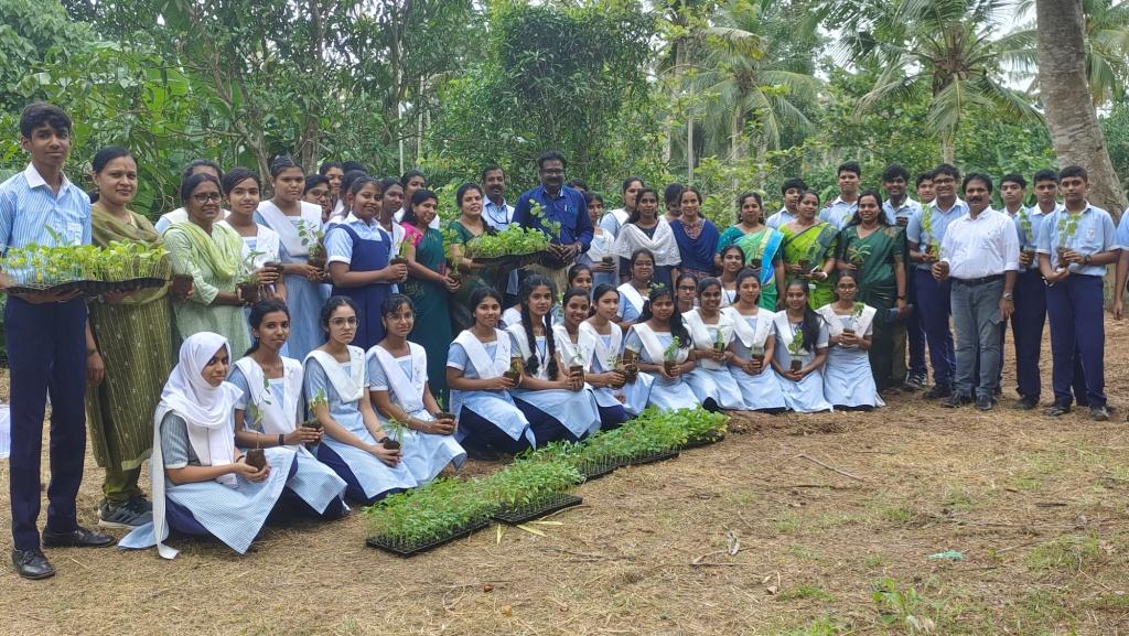 Environment Day 2024